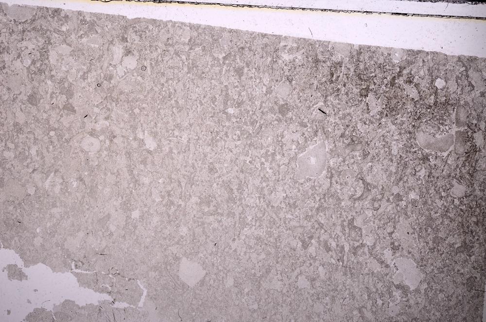 Plane Polarized, E44492