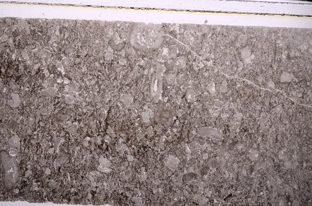 Plane Polarized, E44494