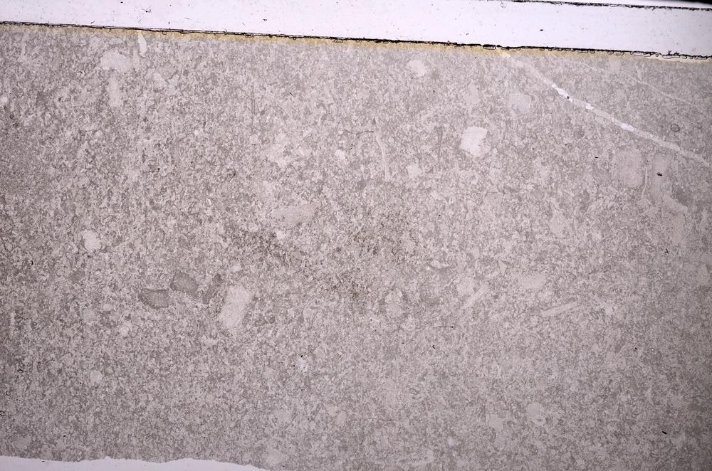 Plane Polarized, E44495