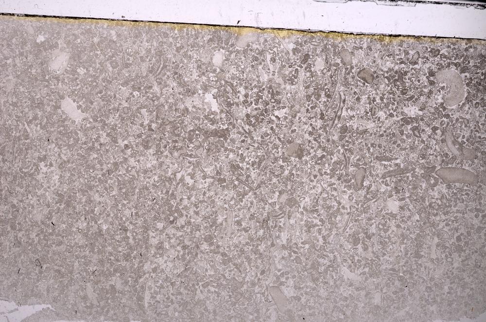 Plane Polarized, E44497