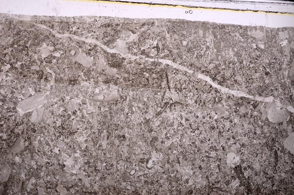 Plane Polarized, E44498