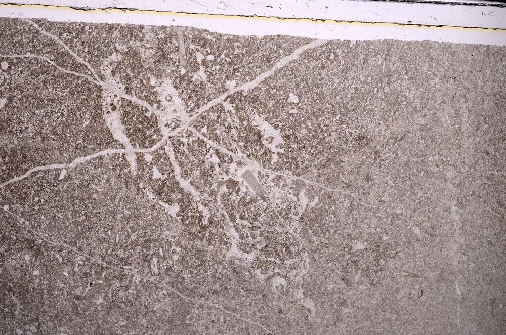 Plane Polarized, E44501