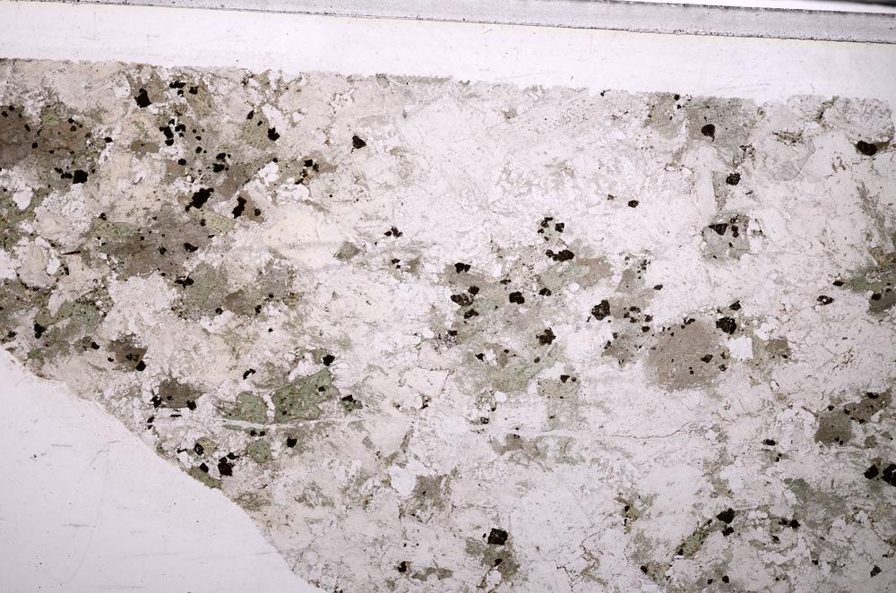 Plane Polarized, E44547