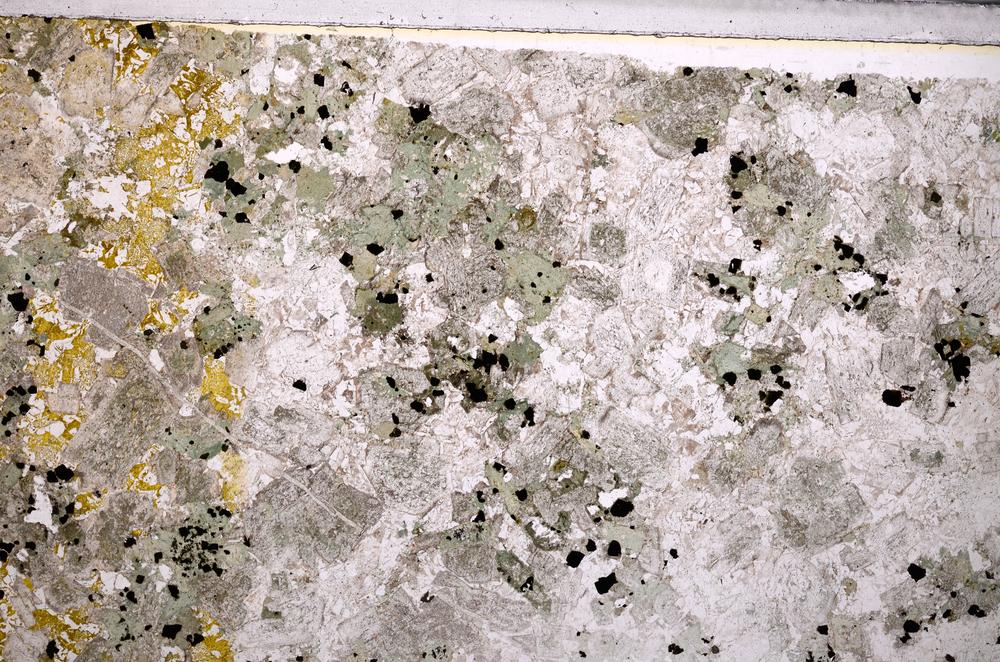 Plane Polarized, E44548