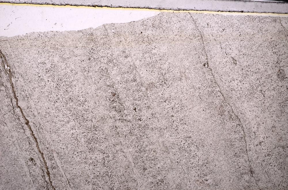 Plane Polarized, E44553