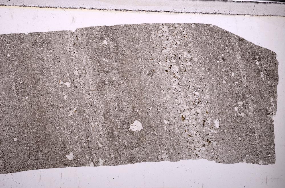 Plane Polarized, E44555