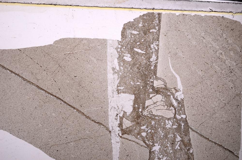 Plane Polarized, E44557