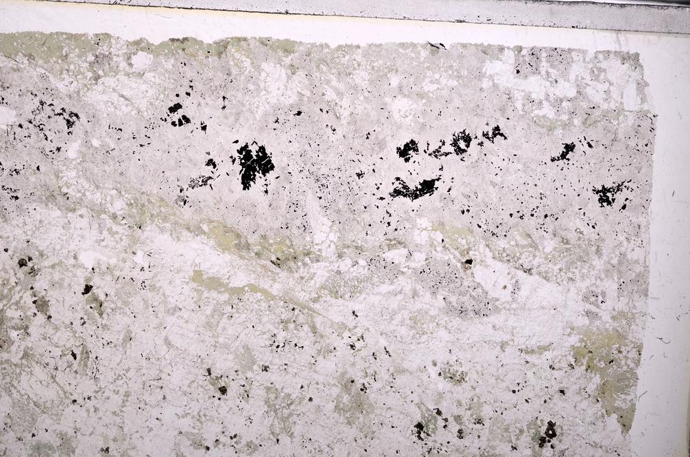 Plane Polarized, E44565