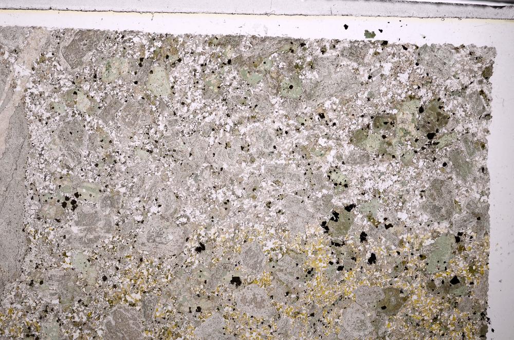 Plane Polarized, E44566