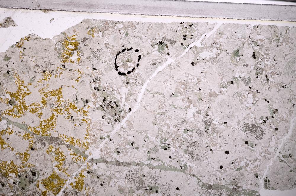 Plane Polarized, E44569