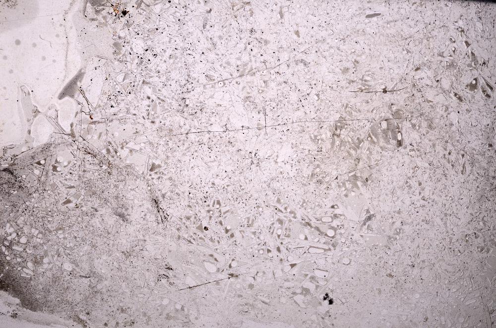 Plane Polarized, E44609/B