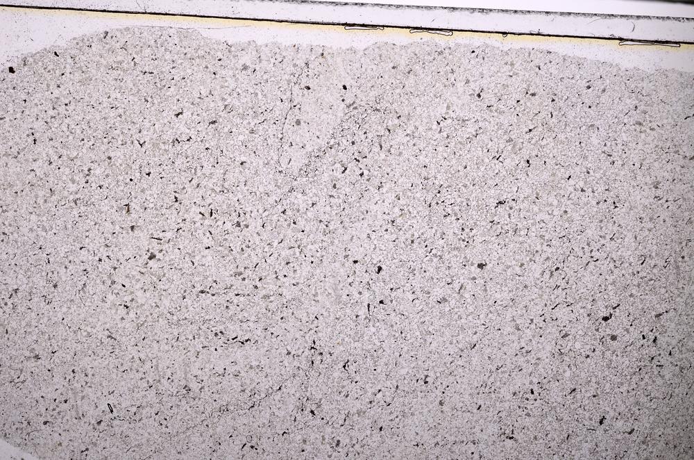 Plane Polarized, E44711