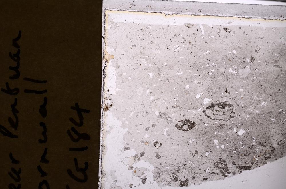 Plane Polarized, E44738