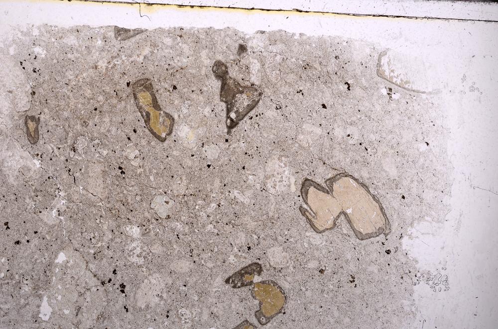 Plane Polarized, E44745/B