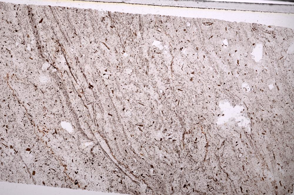 Plane Polarized, E44763