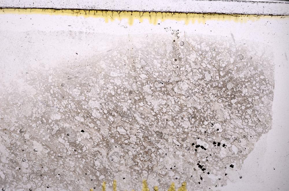 Plane Polarized, E44769