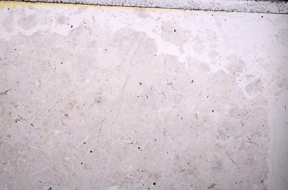 Plane Polarized, E44811