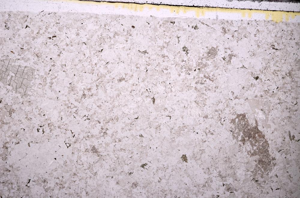 Plane Polarized, E44813
