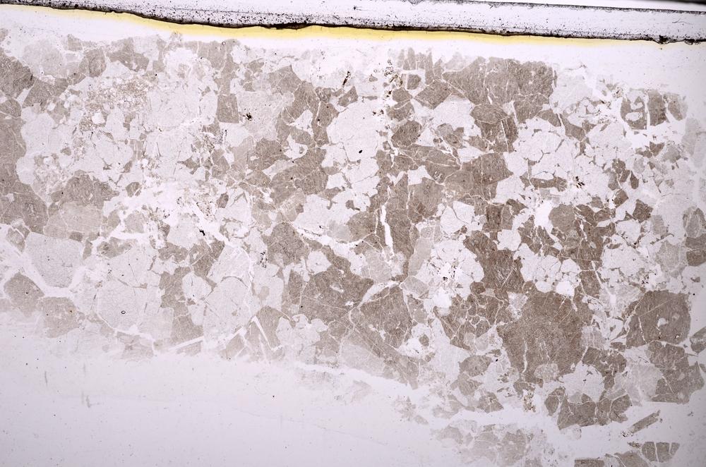 Plane Polarized, E44852/C