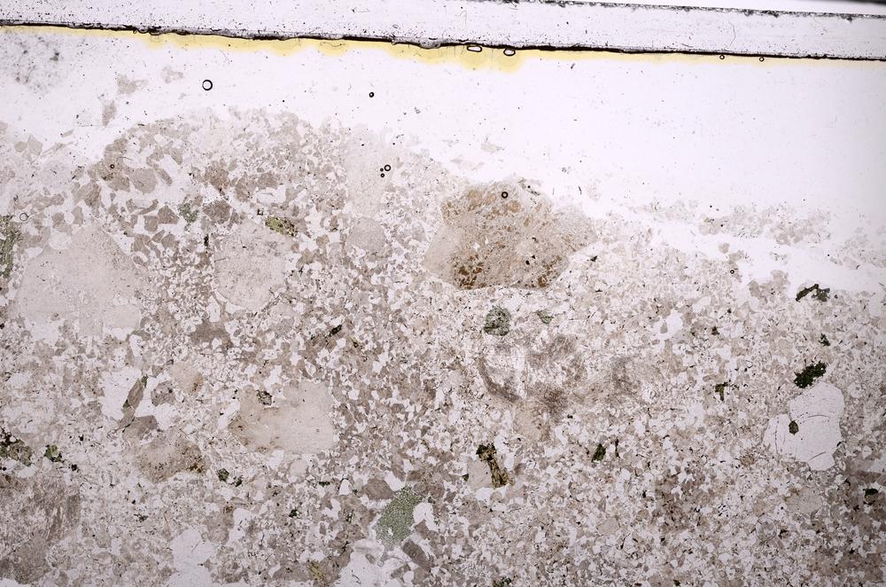 Plane Polarized, E44854