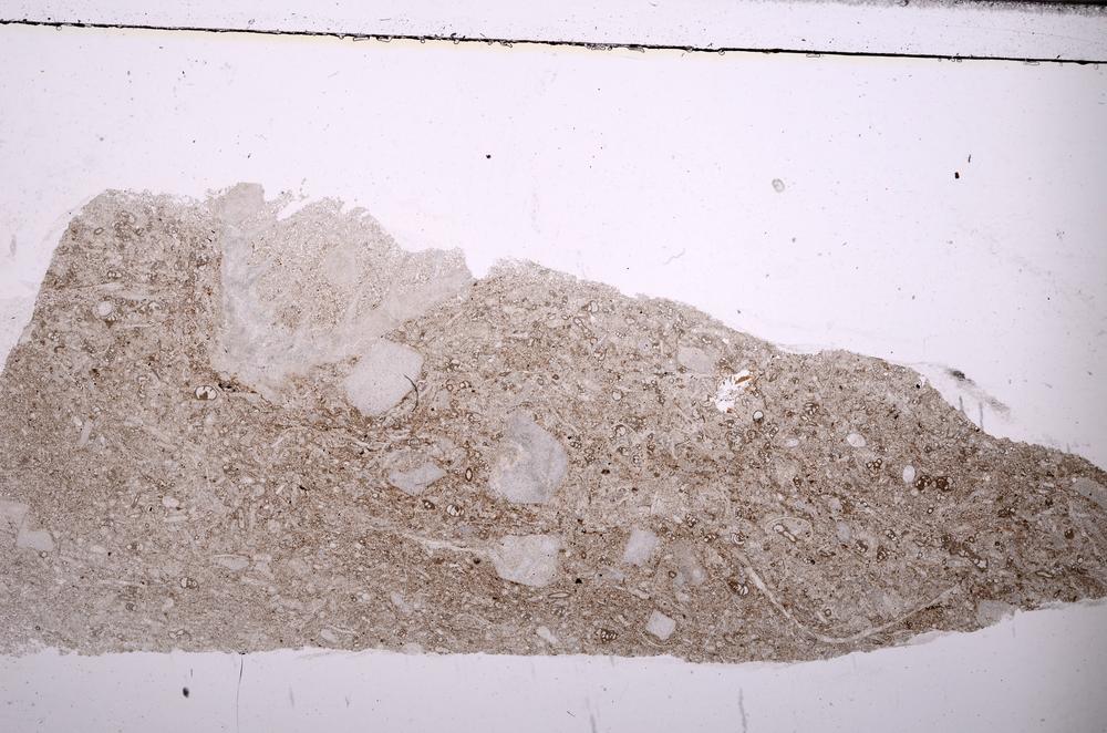 Plane Polarized, E44869