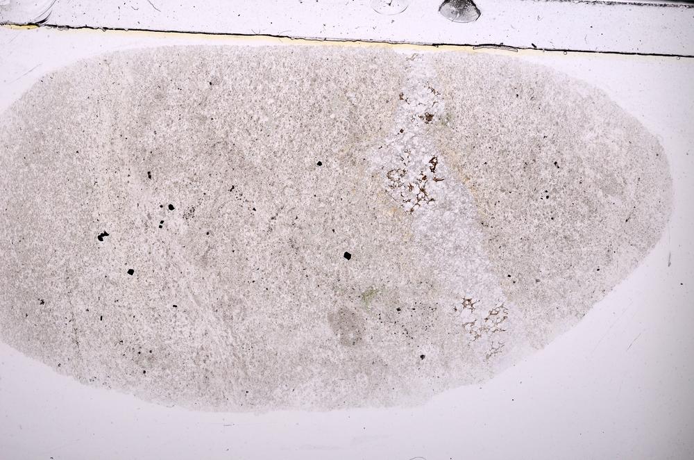 Plane Polarized, E44965