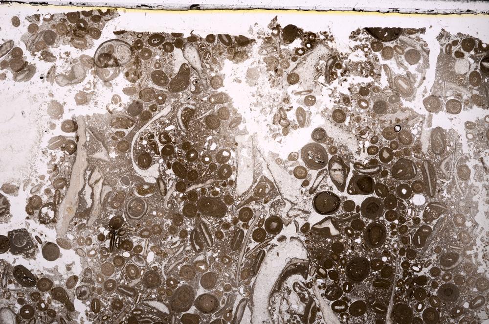 Plane Polarized, E45073