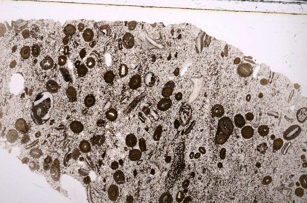 Plane Polarized, E45095