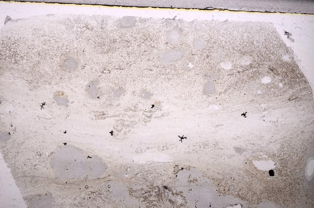 Plane Polarized, E45132