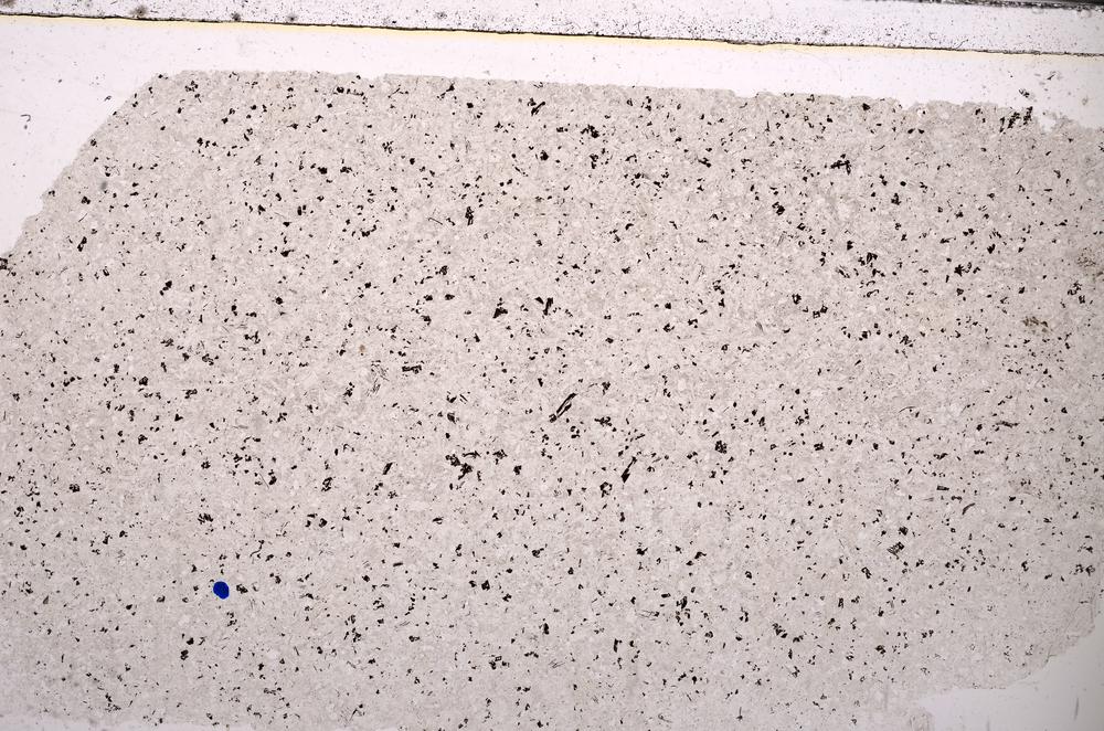 Plane Polarized, E45289