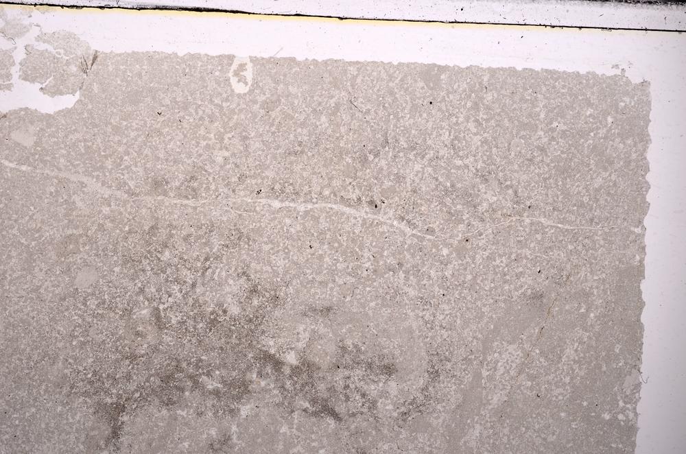 Plane Polarized, E45305