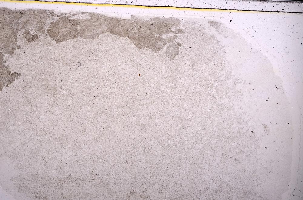 Plane Polarized, E45354