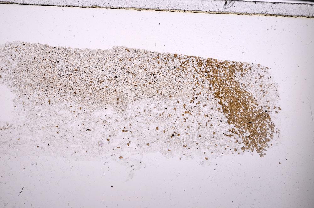 Plane Polarized, E45372