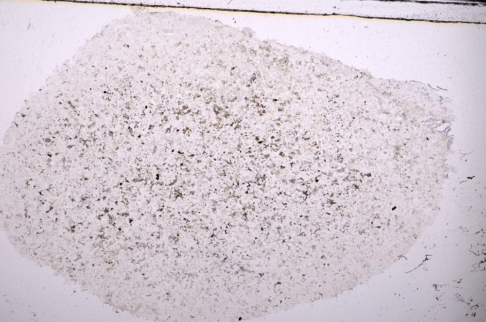 Plane Polarized, E45376