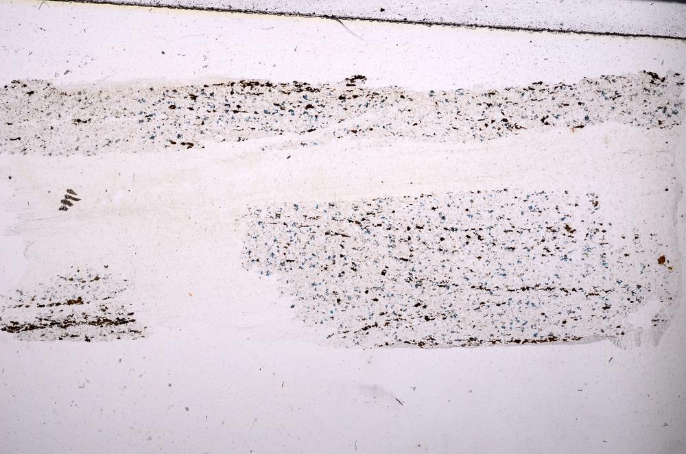 Plane Polarized, E45380