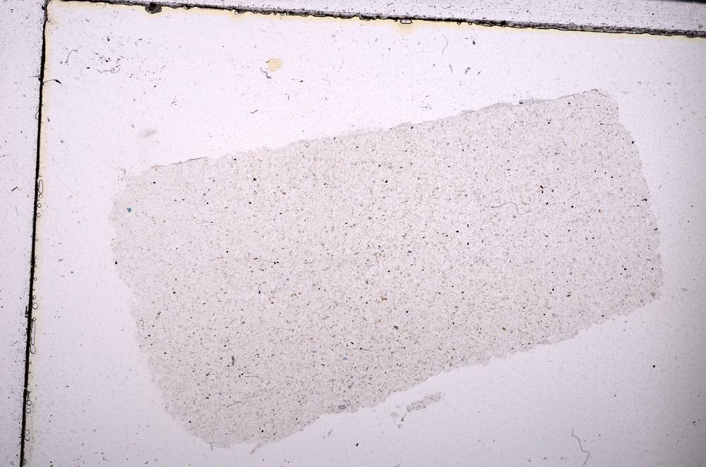 Plane Polarized, E45381