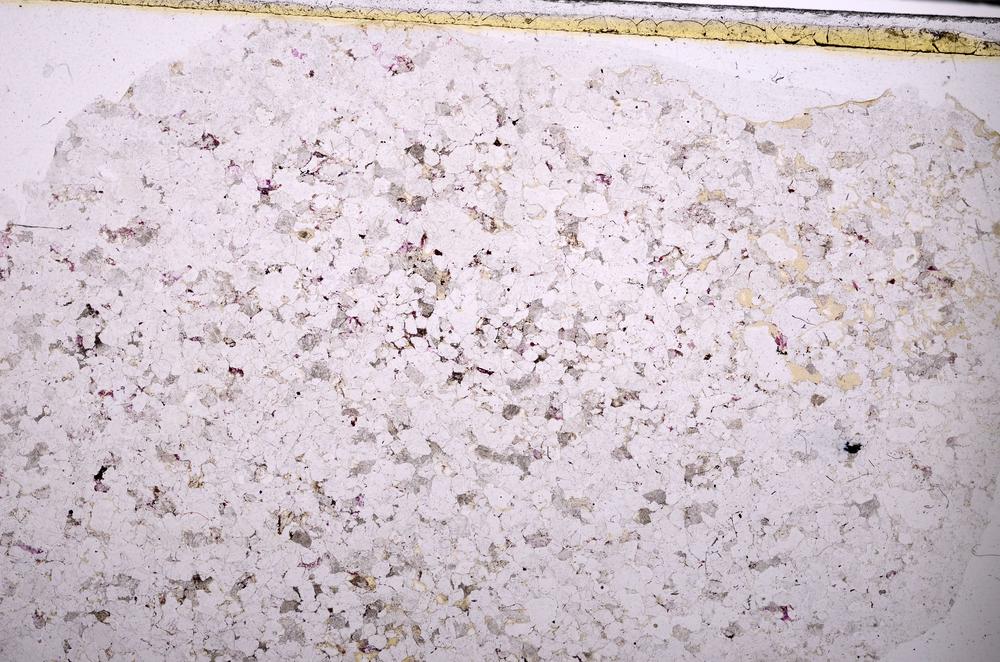 Plane Polarized, E45387