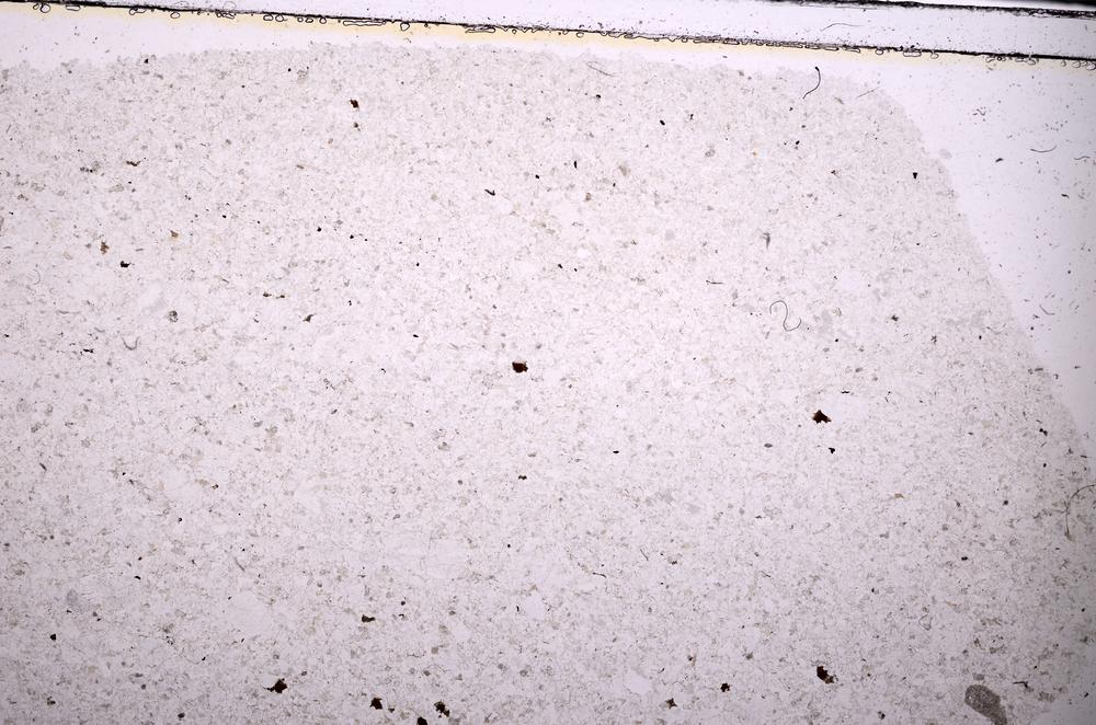 Plane Polarized, E45400