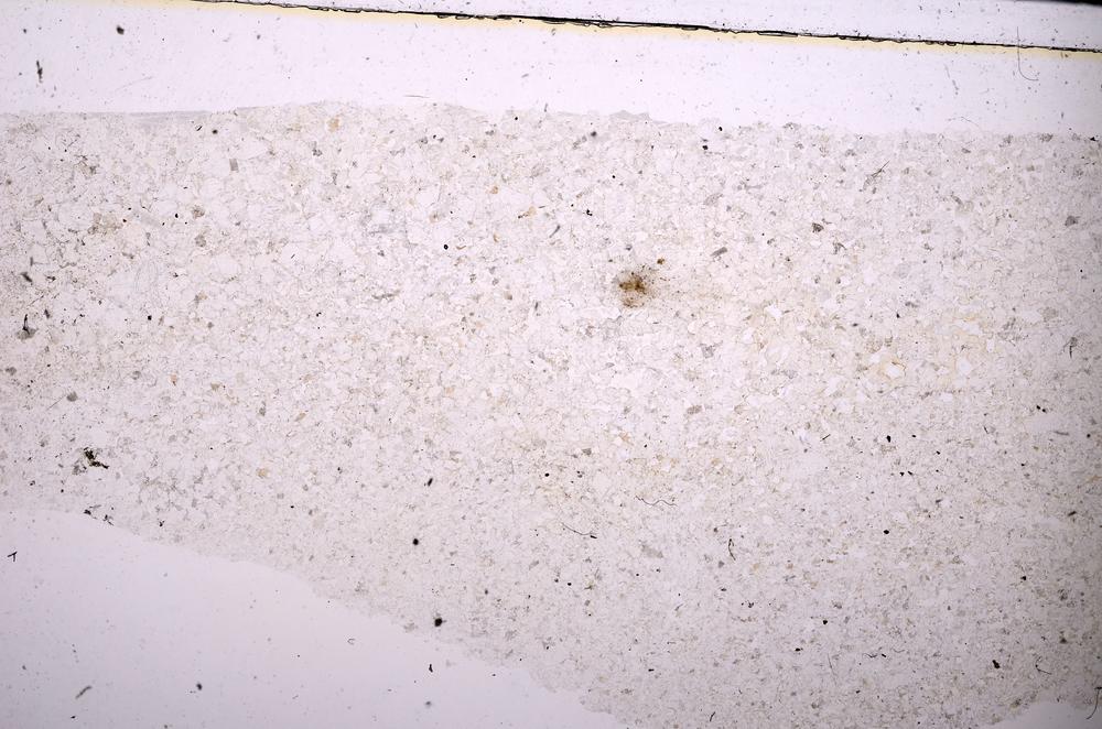 Plane Polarized, E45401