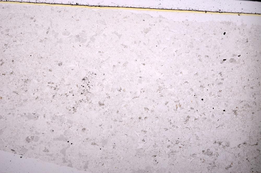 Plane Polarized, E45405