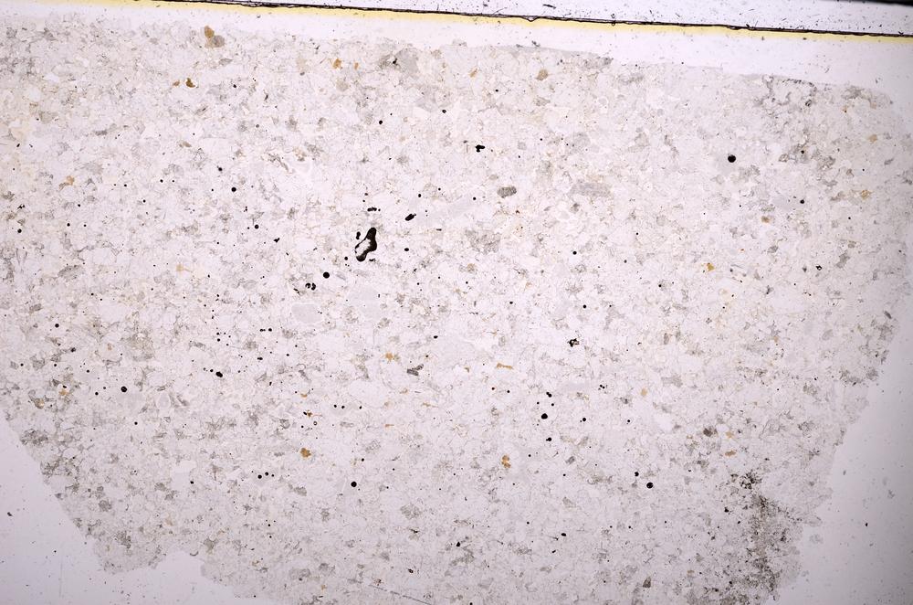 Plane Polarized, E45407