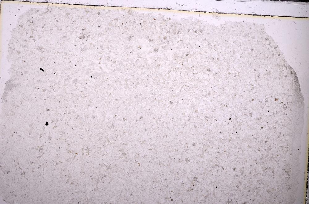 Plane Polarized, E45410