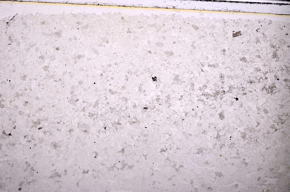 Plane Polarized, E45411