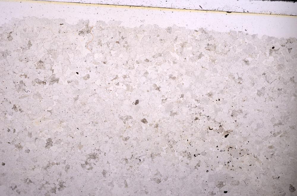 Plane Polarized, E45412