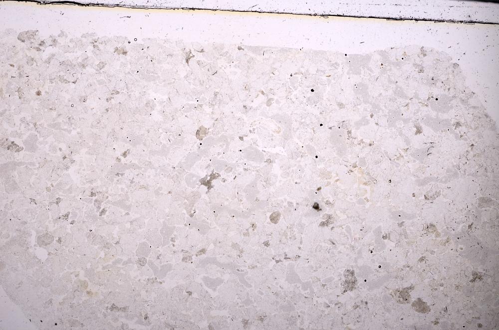 Plane Polarized, E45416