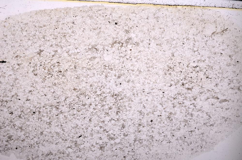 Plane Polarized, E45418