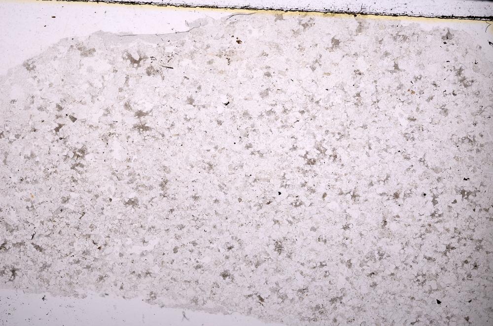 Plane Polarized, E45420