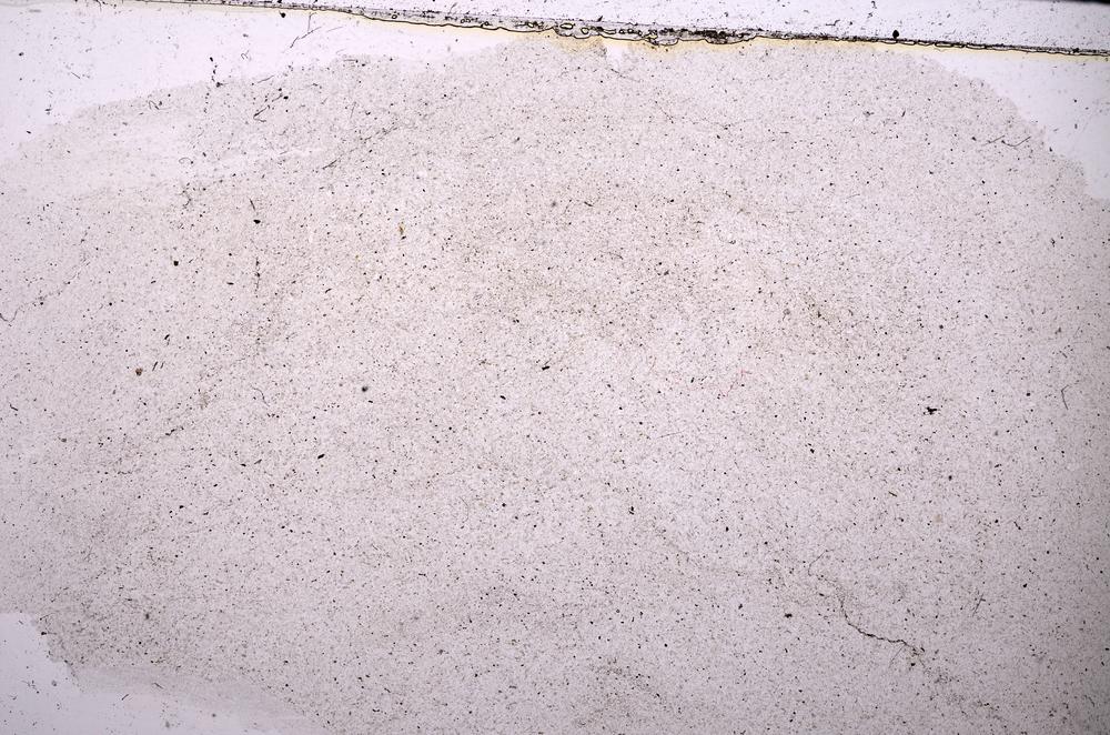 Plane Polarized, E45424
