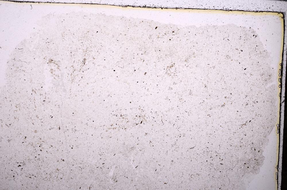 Plane Polarized, E45429