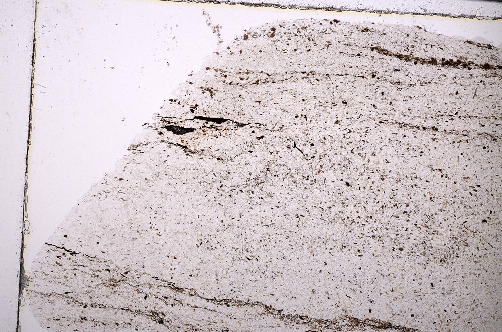 Plane Polarized, E45431